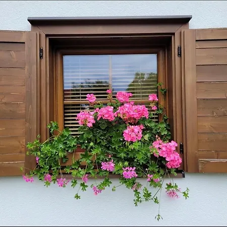 Σαλέ Juraj Terchová